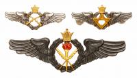 Iran. Imperial Air Force Wings pre 1979 EF