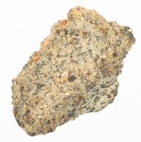 Shergotite Martian Meteorite Fragment of NWA 1068