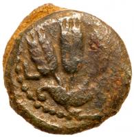 Judaea, Jewish War / Agrippa I. Ã Prutah (5.63 g), 66-70 and 37-44 CE - 2