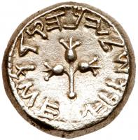 Judaea, The Jewish War. Silver Shekel (14.31 g), 66-70 CE - 2