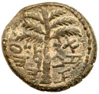 Judaea, Bar Kokhba Revolt. Ã Small Bronze (4.26 g), 132-135 CE