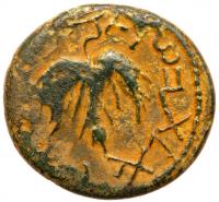 Judaea, Bar Kokhba Revolt. Ã Medium Bronze (9.25 g), 132-135 CE - 2