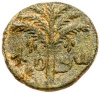 Judaea, Bar Kokhba Revolt. Ã Medium Bronze (10.02 g), 132-135 CE