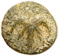 Judaea, Bar Kokhba Revolt. Ã Medium Bronze (10.02 g), 132-135 CE - 2