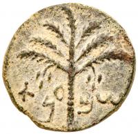 Judaea, Bar Kokhba Revolt. Ã Medium Bronze (9.93 g), 132-135 CE
