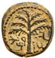 Judaea, Bar Kokhba Revolt. Ã Small Bronze (6.45 g), 132-135 CE