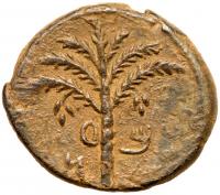 Judaea, Bar Kokhba Revolt. Ã Medium Bronze (11.36 g), 132-135 CE