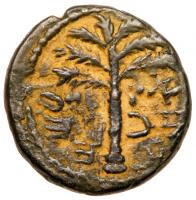 Judaea, Bar Kokhba Revolt. Ã Small Bronze (3.88 g), 132-135 CE