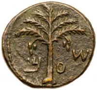 Judaea, Bar Kokhba Revolt. Ã Medium Bronze (13.88 g), 132-135 CE