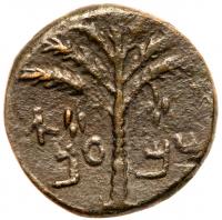 Judaea, Bar Kokhba Revolt. Ã Medium Bronze (11.55 g), 132-135 CE