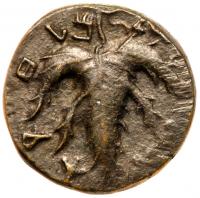 Judaea, Bar Kokhba Revolt. Ã Medium Bronze (11.55 g), 132-135 CE - 2