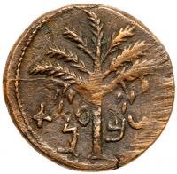 Judaea, Bar Kokhba Revolt. Ã Medium Bronze (12.34 g), 132-135 CE