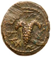 Judaea, Bar Kokhba Revolt. Ã Small Bronze (7.52 g), 132-135 CE - 2