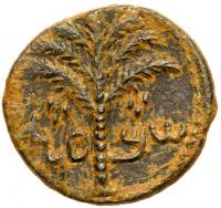 Judaea, Bar Kokhba Revolt. Ã Medium Bronze (9.94 g), 132-135 CE