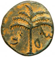 Judaea, Bar Kokhba Revolt. Ã Medium Bronze (6.99 g), 132-135 CE