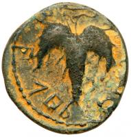 Judaea, Bar Kokhba Revolt. Ã Medium Bronze (6.99 g), 132-135 CE - 2