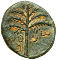 Judaea, Bar Kokhba Revolt. Ã Medium Bronze (10.38 g), 132-135 CE