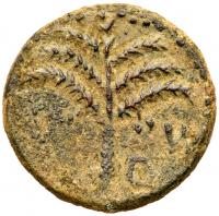 Judaea, Bar Kokhba Revolt. Ã Medium Bronze (13.78 g), 132-135 CE