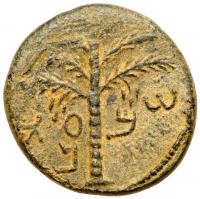 Judaea, Bar Kokhba Revolt. Ã Medium Bronze (9.59 g), 132-135 CE