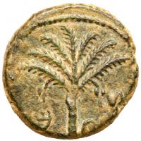 Judaea, Bar Kokhba Revolt. Ã Medium Bronze (11.87 g), 132-135 CE