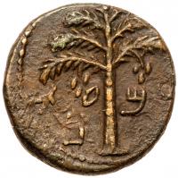 Judaea, Bar Kokhba Revolt. Ã Medium Bronze (10.11 g), 132-135 CE