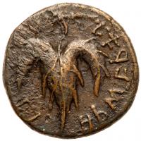 Judaea, Bar Kokhba Revolt. Ã Medium Bronze (10.11 g), 132-135 CE - 2