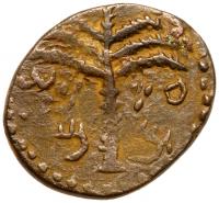Judaea, Bar Kokhba Revolt. Ã Medium Bronze (7.98 g), 132-135 CE