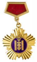 Mongolian âGold Soemboâ medal of a Hero of Labor of Mongolian Peoples Republic. Type 1. Award # 238.
