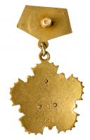 Mongolian âGold Soemboâ medal of a Hero of Labor of Mongolian Peoples Republic. Type 1. Award # 238. - 2