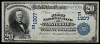 $20 National Bank Note. First NB of Amsterdam, NY. Ch. # 1307. Fr. 642.