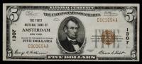 $5 National Bank Note. First NB of Amsterdam, NY. Ch. # 1307. Fr. 1800-1.