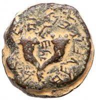 Judaea, Hasmonean Kingdom. Mattathias Antigonos (Mattatayah). Ã 8 Prutot (13.64 g), 40-37 BCE