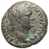 Herod Agrippa II under Flavian Rule. AE 23 (11.62 g) VF