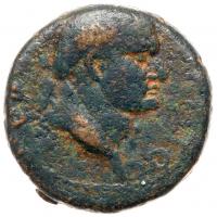 Herod Agrippa II under Flavian Rule. AE 22 (11.66 g) Fine