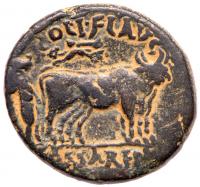 Hadrian. Ã (18.54 g), AD 117-138 Choice VF - 2