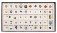 Fifty Plus (50+) Collection of Ancient Egyptian and Phoenician Glass Beads.