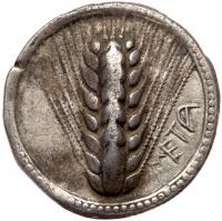 Metapontum/Metapontion. AR Stater. Circa 540-510 BC (27.5mm, 7.82g)