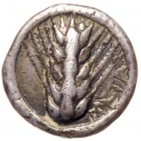 Metapontum/Metapontion. AR Diobol, Circa 340-320 BC (12.5mm, 1.3g)