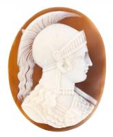 Outstanding Large Neo-Classical Shell Cameo of Athena or Minerva in High Relief.