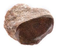 Orange-Brown Agatized Dinosaur Bone