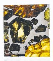 Meteorite Esquel The Most Beautiful Pallasite