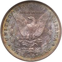 1902 Morgan $1 NGC MS64 - 2