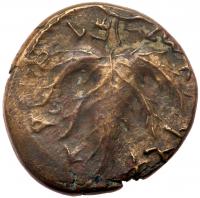 Judaea, Bar Kokhba Revolt. Ã Medium Bronze (11.77 g), 132-135 CE EF - 2