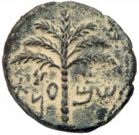 Judaea, Bar Kokhba Revolt. Ã Medium Bronze (9.84 g), 132-135 CE EF