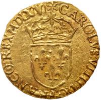 France. Charles IX (1560-1574). Gold Ecu d'or, 1565-H