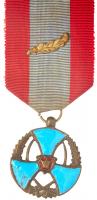 Iran. Order of Merit for Military VF