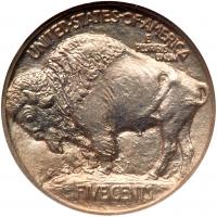 1913 Buffalo 5C. Type 1 NGC Proof 64 - 2