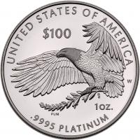 WITHDRAWN - 2021-W First Amendment to the United States Constitution Proof $100 Platinum Coin. - 2