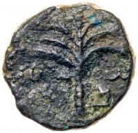 Judaea, Bar Kokhba Revolt. Ã Small Bronze (4.53 g), 132-135 CE VF