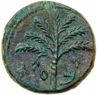 Judaea, Bar Kokhba Revolt. Ã Medium Bronze (12.03 g), 132-135 CE EF